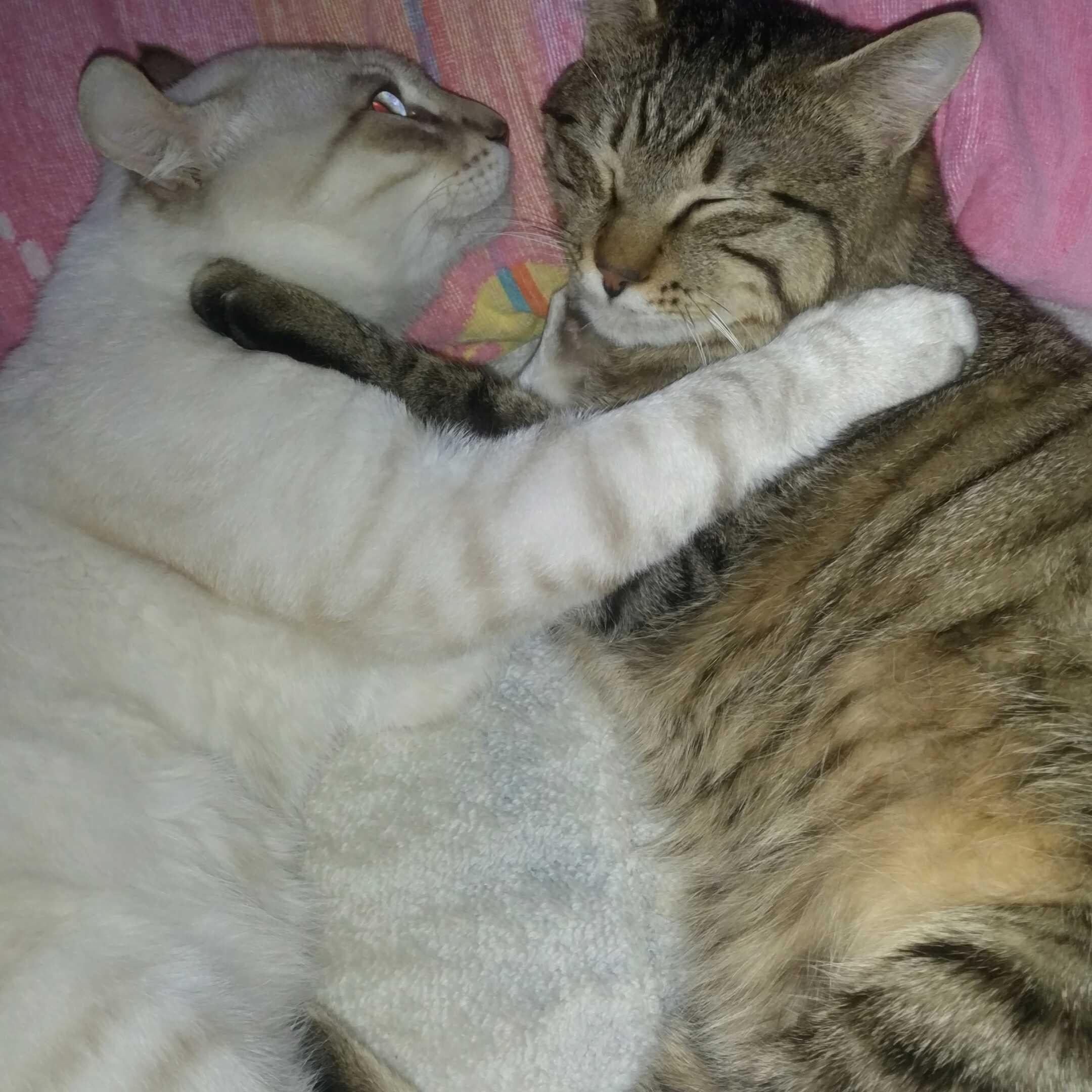 🌏シ～ズ～ン5🌏