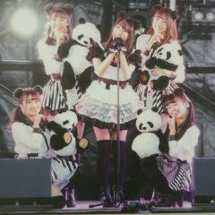 関東のてつ🐼❤