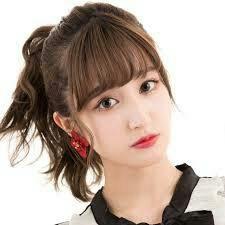 ๆ็จฟ็ปๅ