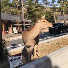 つかぽんのトーク