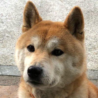ゆうま