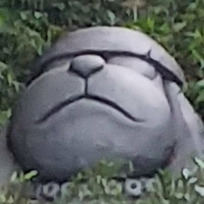 Tom
