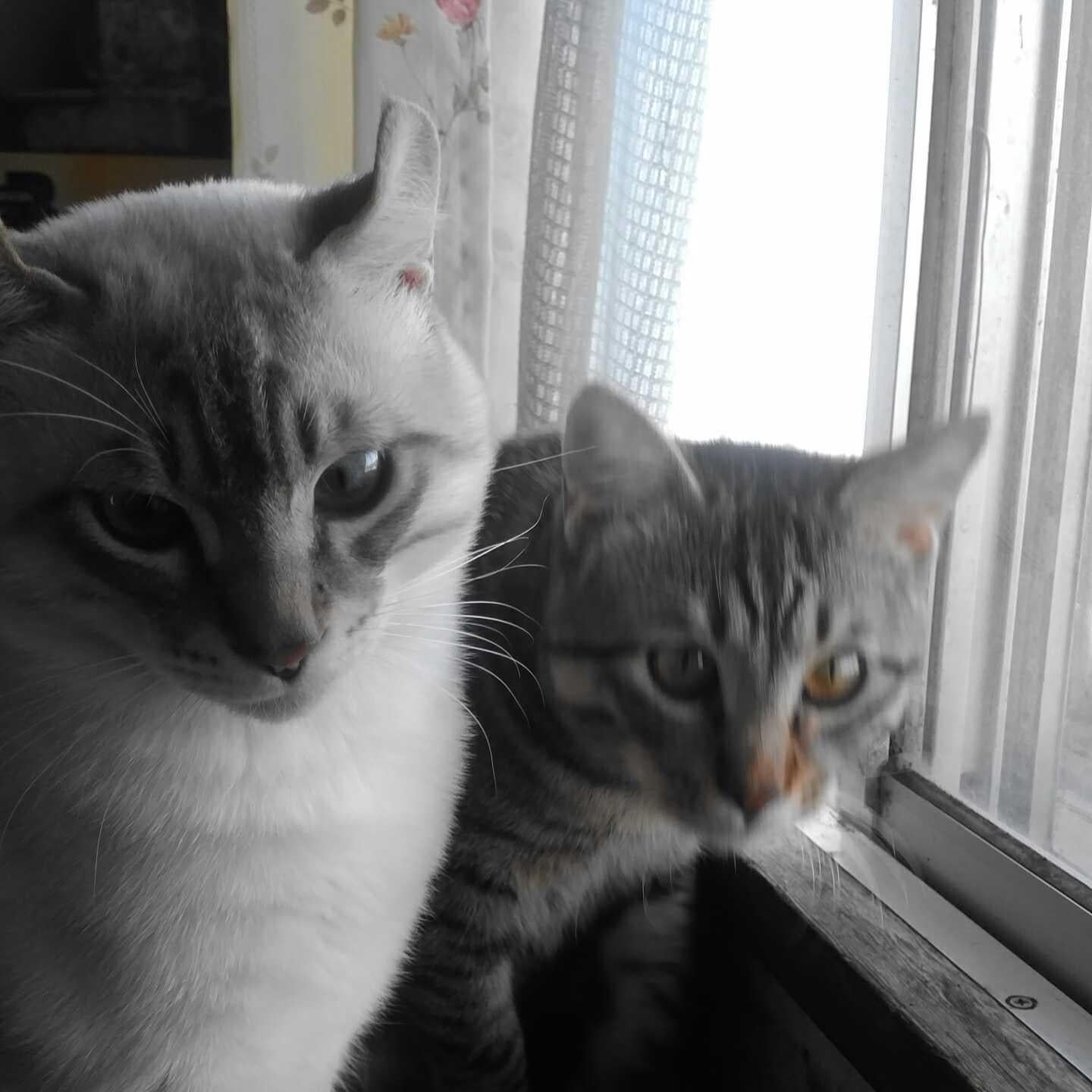 🌏EARTH🌏　✴メイント～ク✴