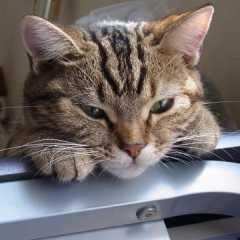 じろー丸のトーク