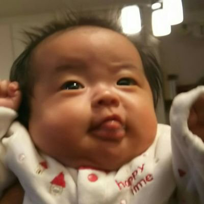 せいのじ