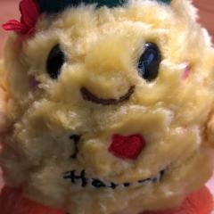 パインちゃんさん(34)