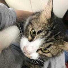 山岸のぞみのトーク