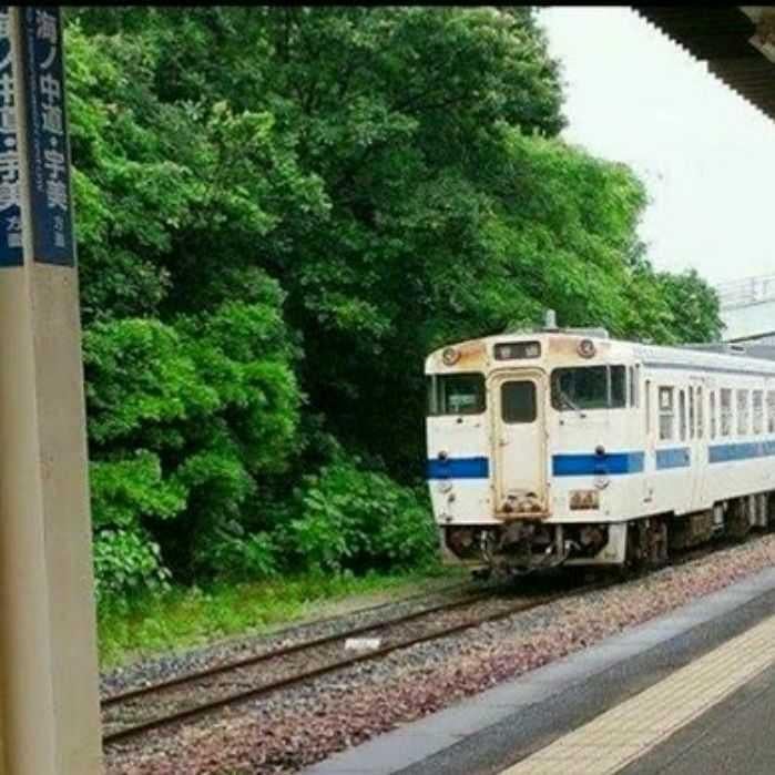 石川(大阪のおっさんやー)