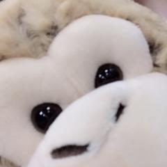 うぴぴ🐒