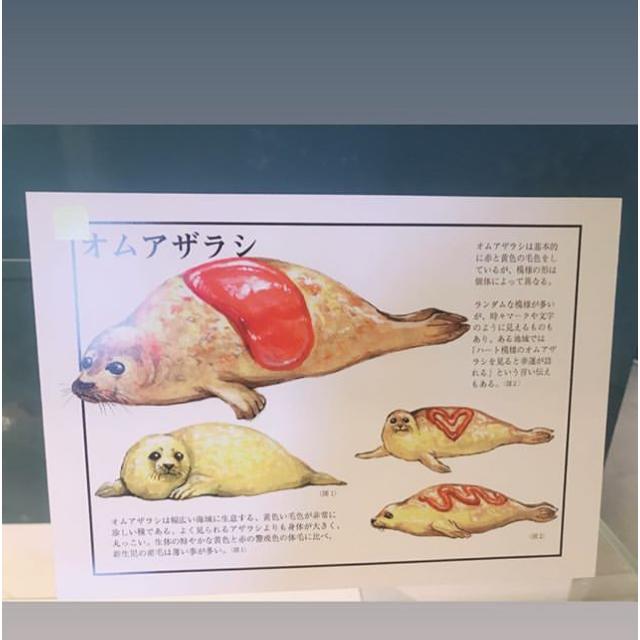 ヴァーム