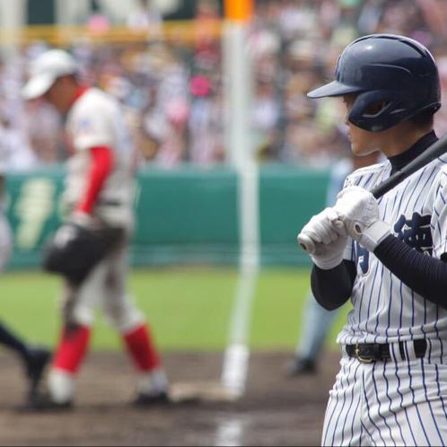 鹿児島から日奈子を応援⚾️