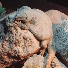 ひろむのトーク