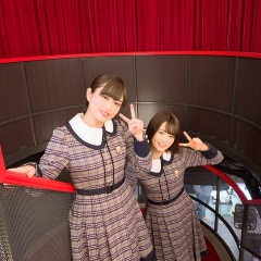 B宝