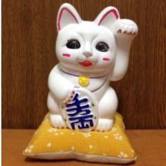 いぐねこのトーク