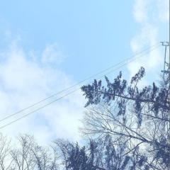 乃木坂のトーク