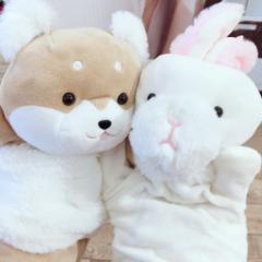 あやな🐰💫