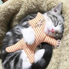 はづきのトーク