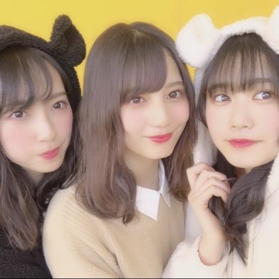 しんちゃん(小坂菜緒&金村 美玖神推し)