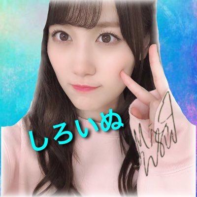 しろいぬ