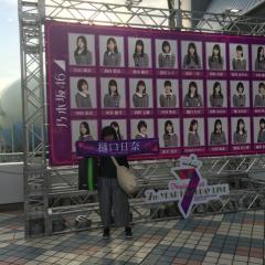 弥奈