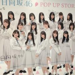 日向坂ちゃん超絶神推しのカボスです!