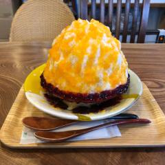 ぽるぽとのトーク