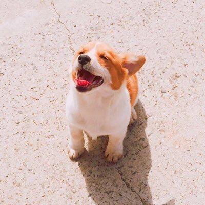 スラン 🐣のトーク