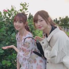 ちひ太郎◢͟│⁴⁶虎党🐯日向坂46推し