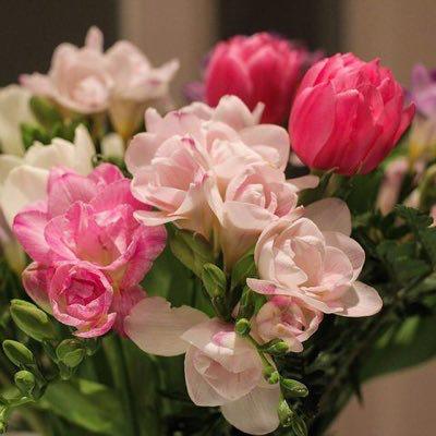 freesia