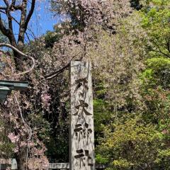ゆっけ◢ ⁴⁶