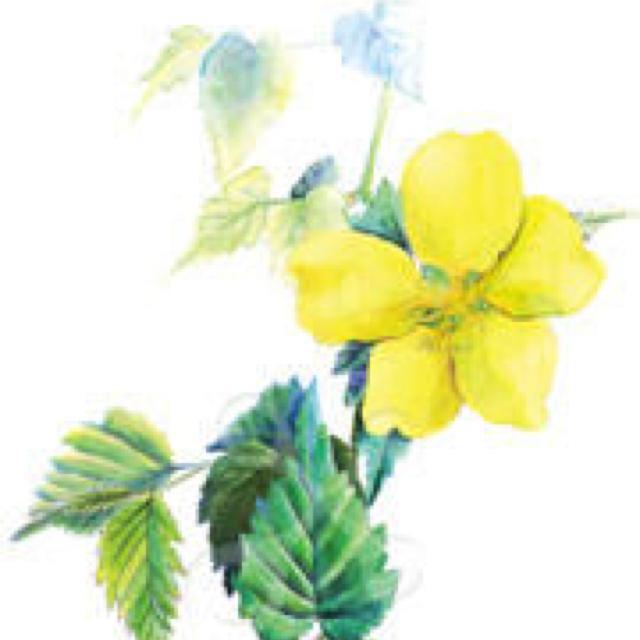 リトーク 自分用