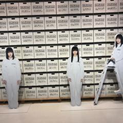 ソラマメ
