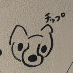ヤブ
