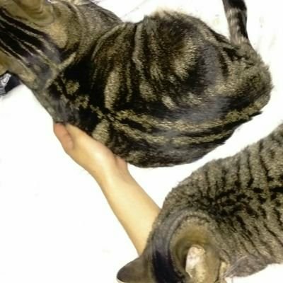 ばっさん∞