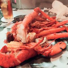 🐸【シキ】🐸のトーク