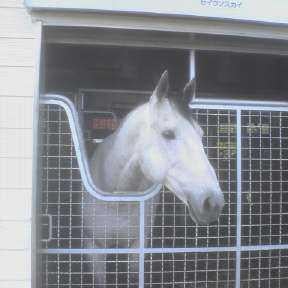 ひでさんのトーク