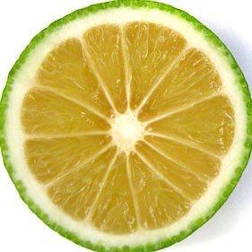 さきと申しますん。のトーク