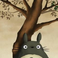 gaobaoer_2018