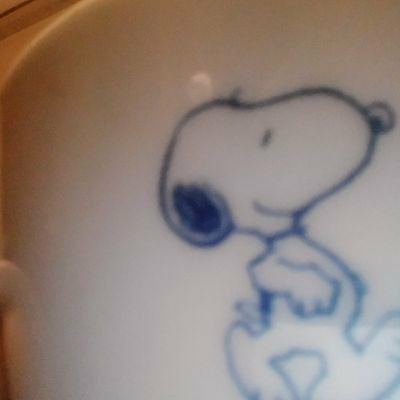 nまこと
