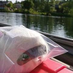 ひさにゃ(=^ω^=)😭☺️🌊🎶