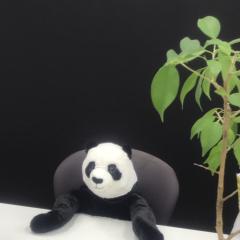 たかまる