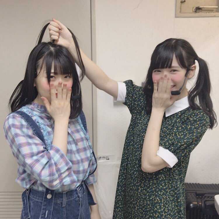 青いたぬき🏘️