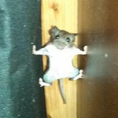 私達の世界でバックを生むのトーク