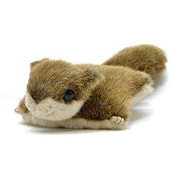 モモンガ🐹