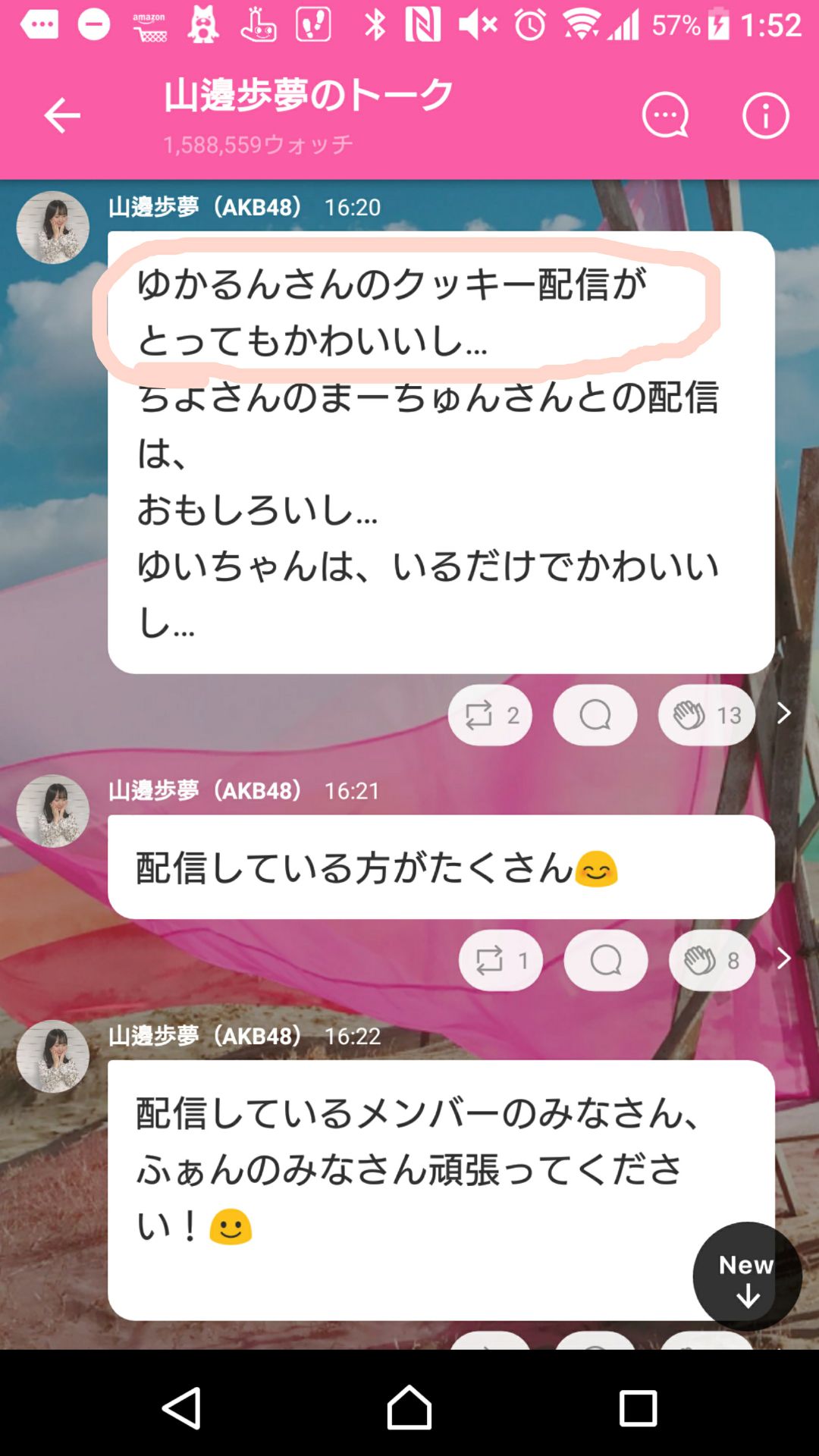 投稿画像