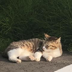 てっちゃんのトーク