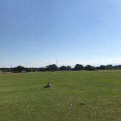TK@地頭江単推し