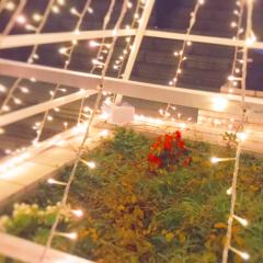 な み ☺︎