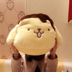 ポムポムぷりんちゃん(*´ω`*)