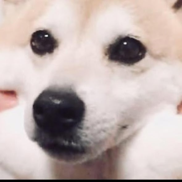 ●●●のメモ帳 自分のinput用